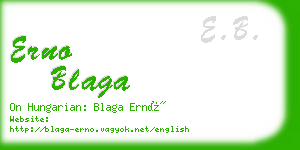 erno blaga business card